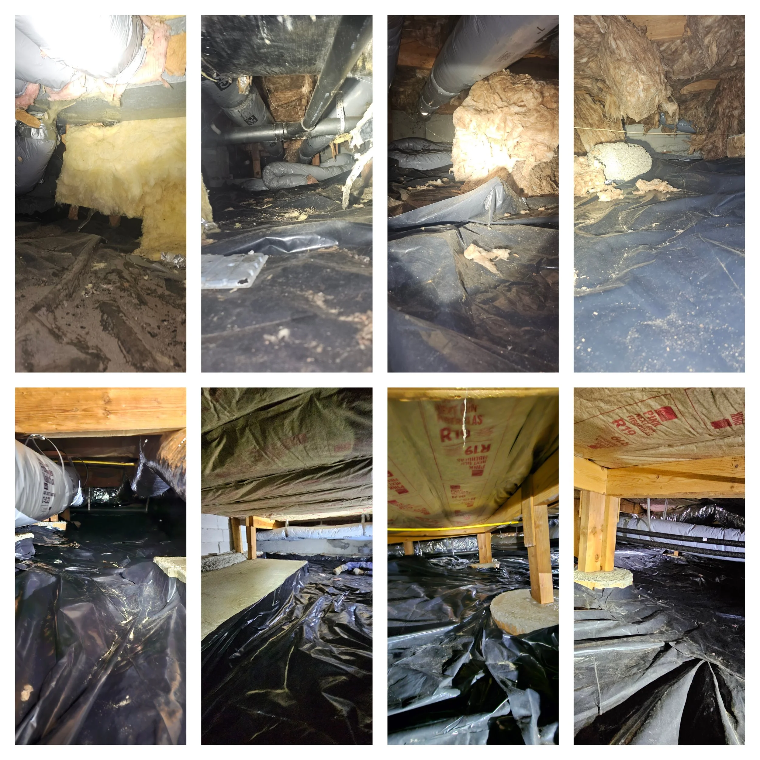 BEFORE & AFTER (CRAWLSPACE)