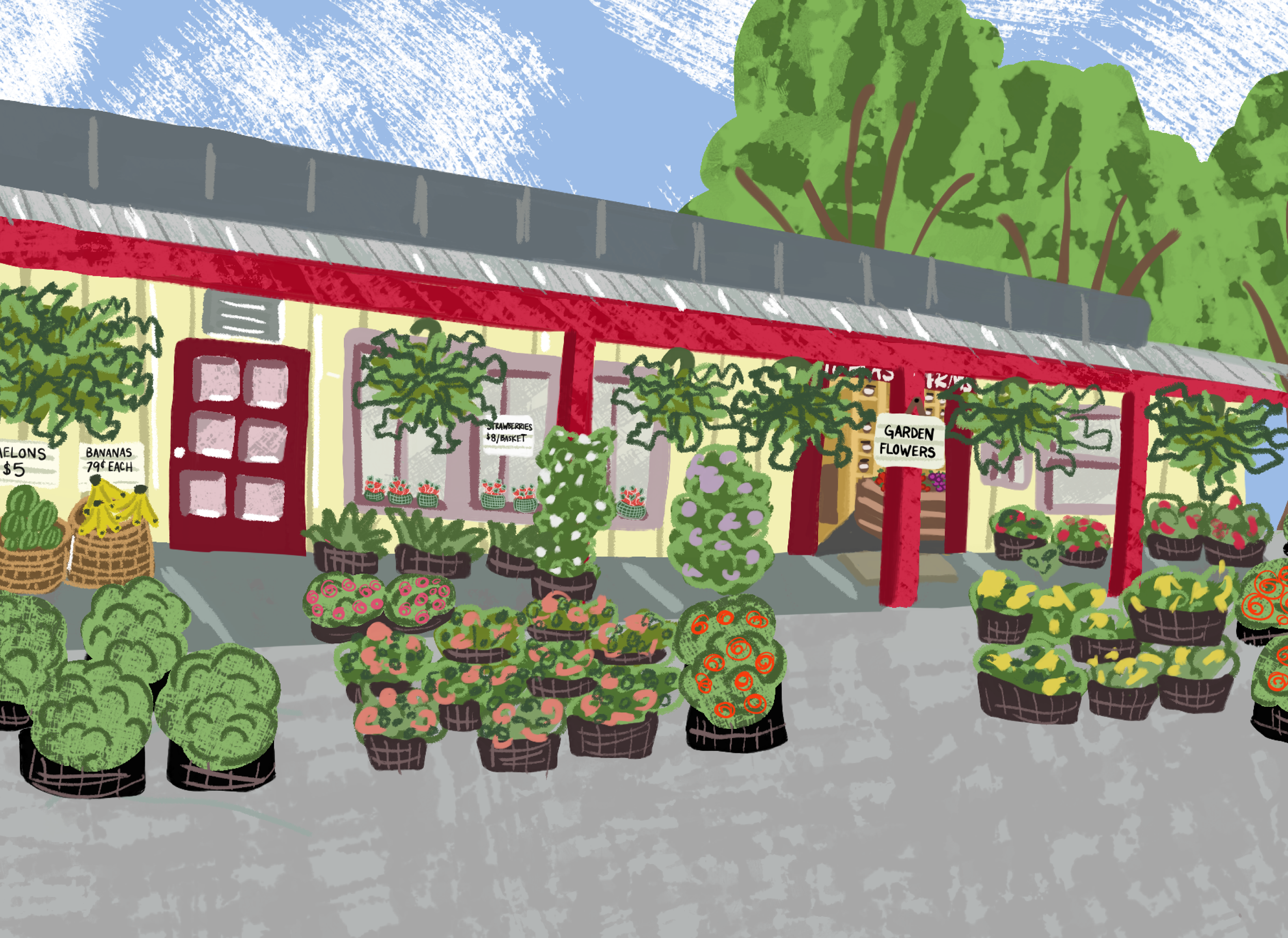 tomas Farms.png