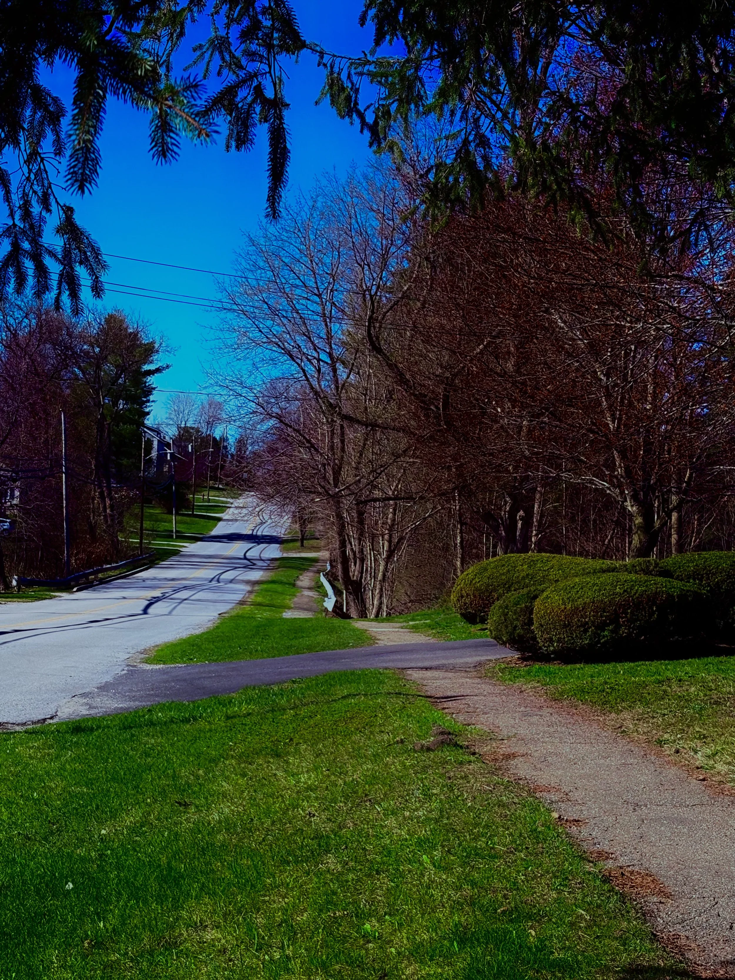 The Restless Hope of Spring