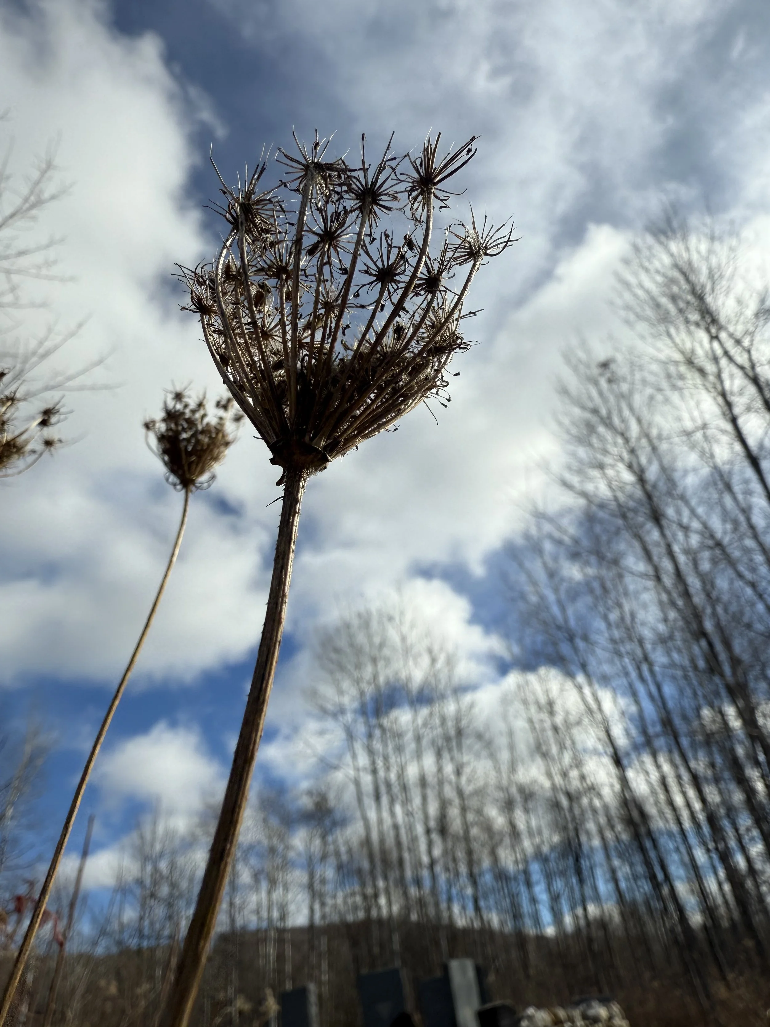 Individual Authentic Movement Practice Worksheet