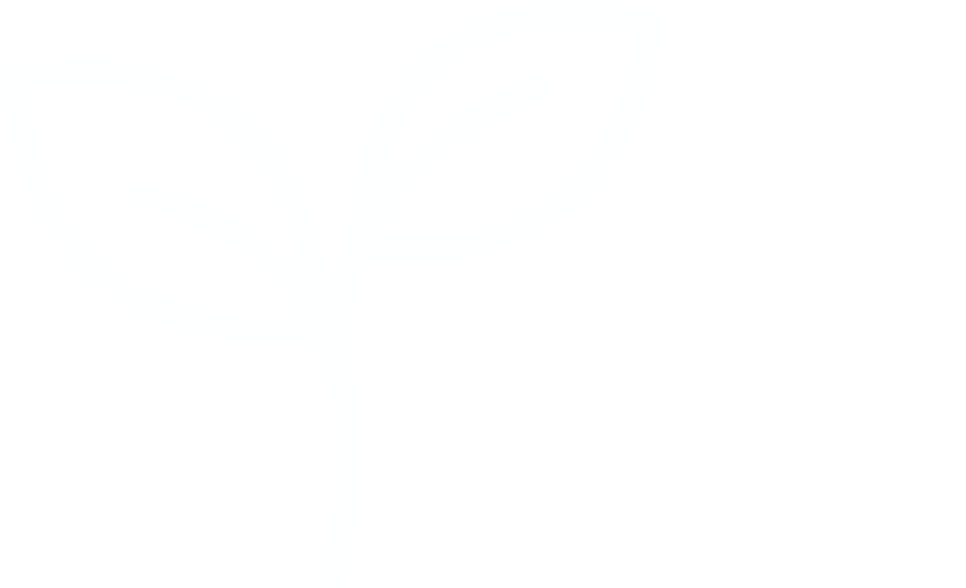 Educate Innovate Inspire