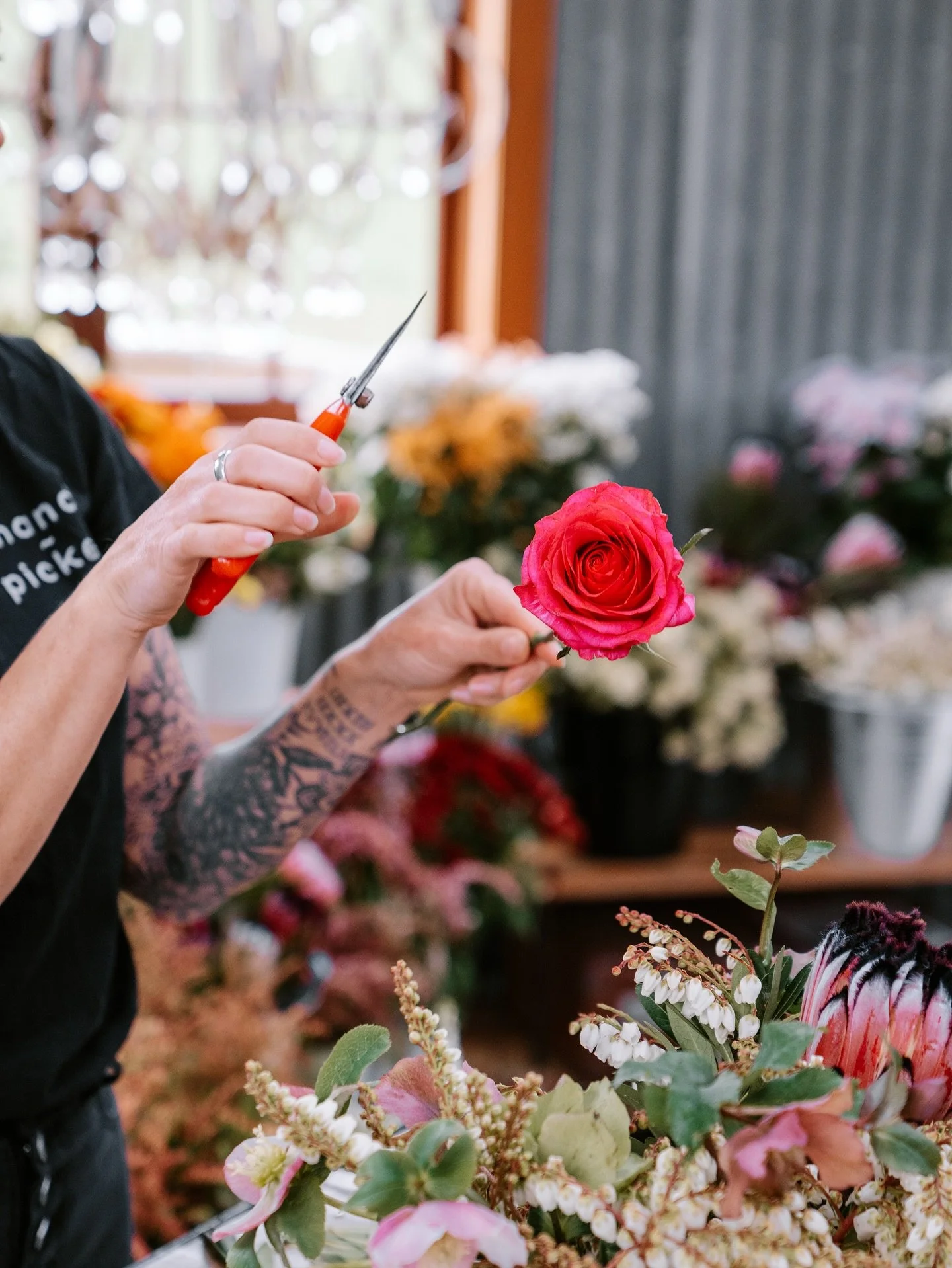 Bay of Plenty Floral Workshops
