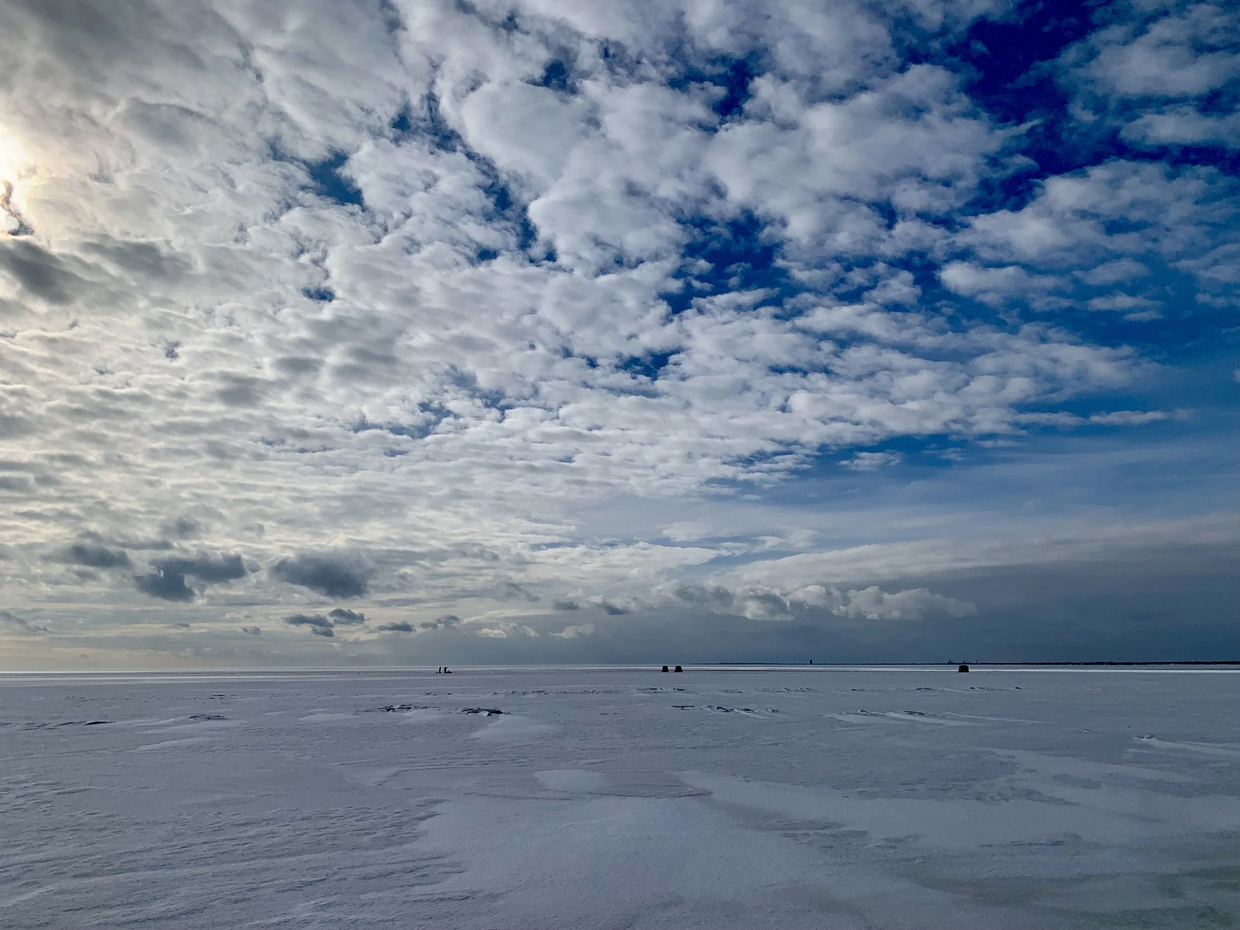 January Nature Report