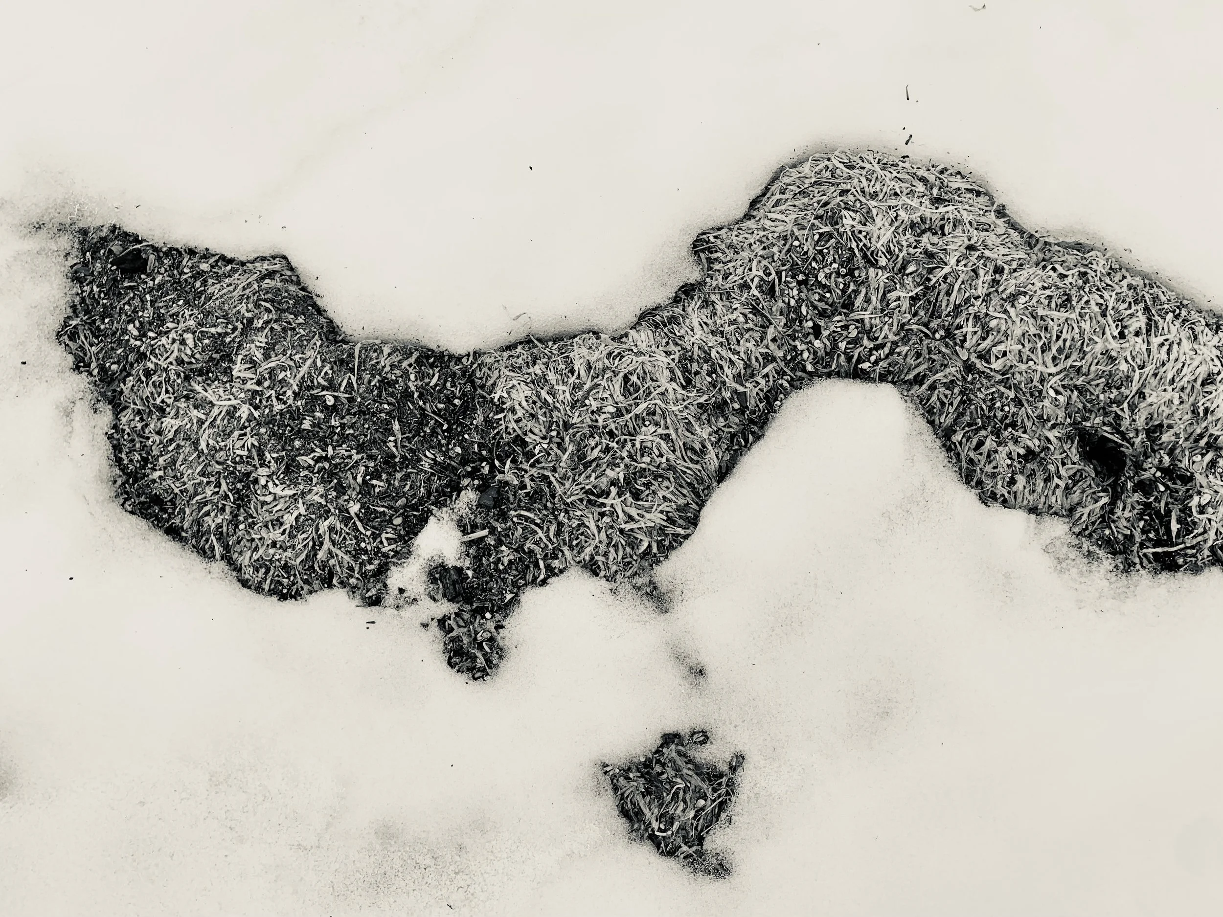 Edges: An Exploratory Essay