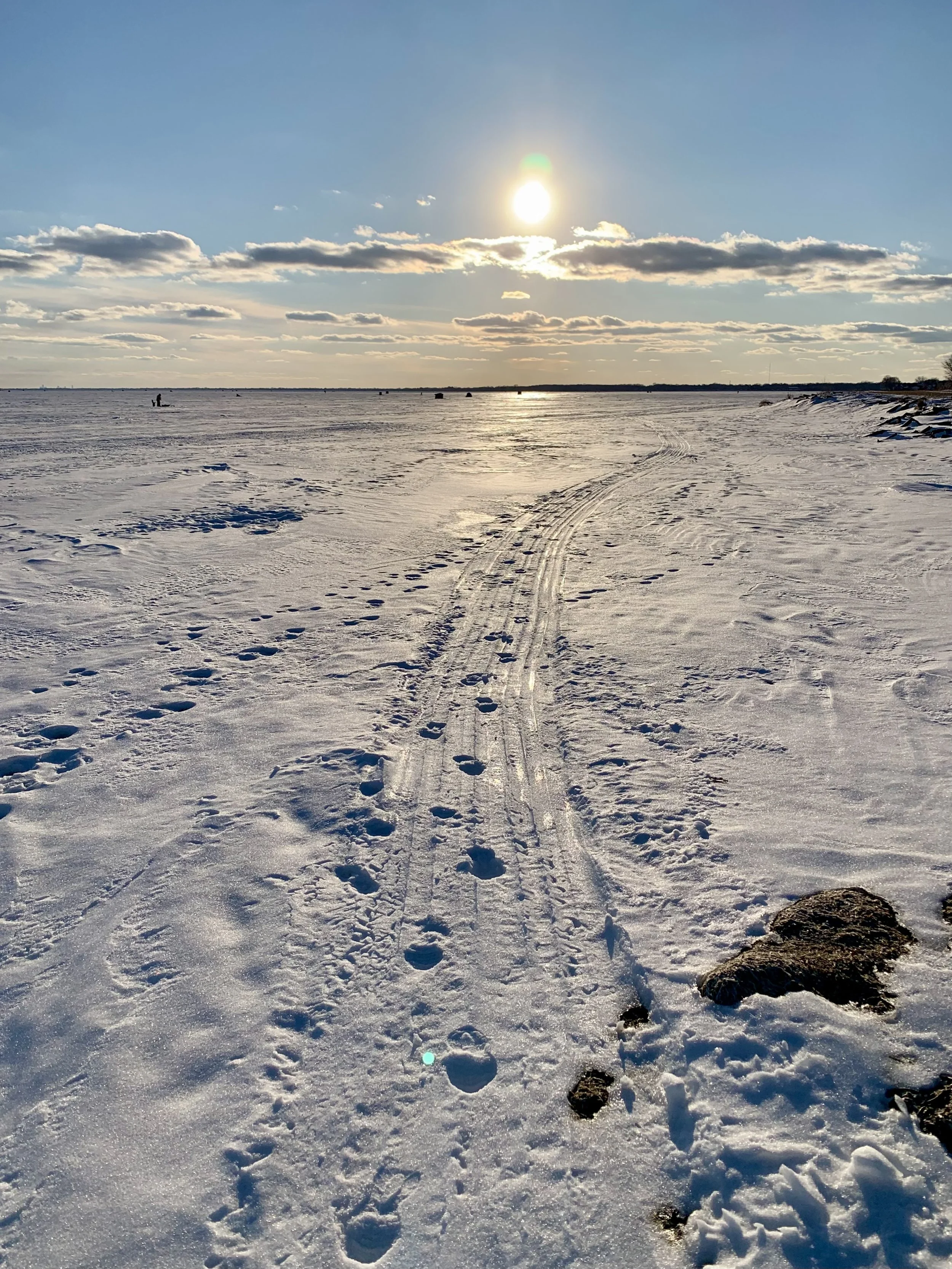 February Nature Report