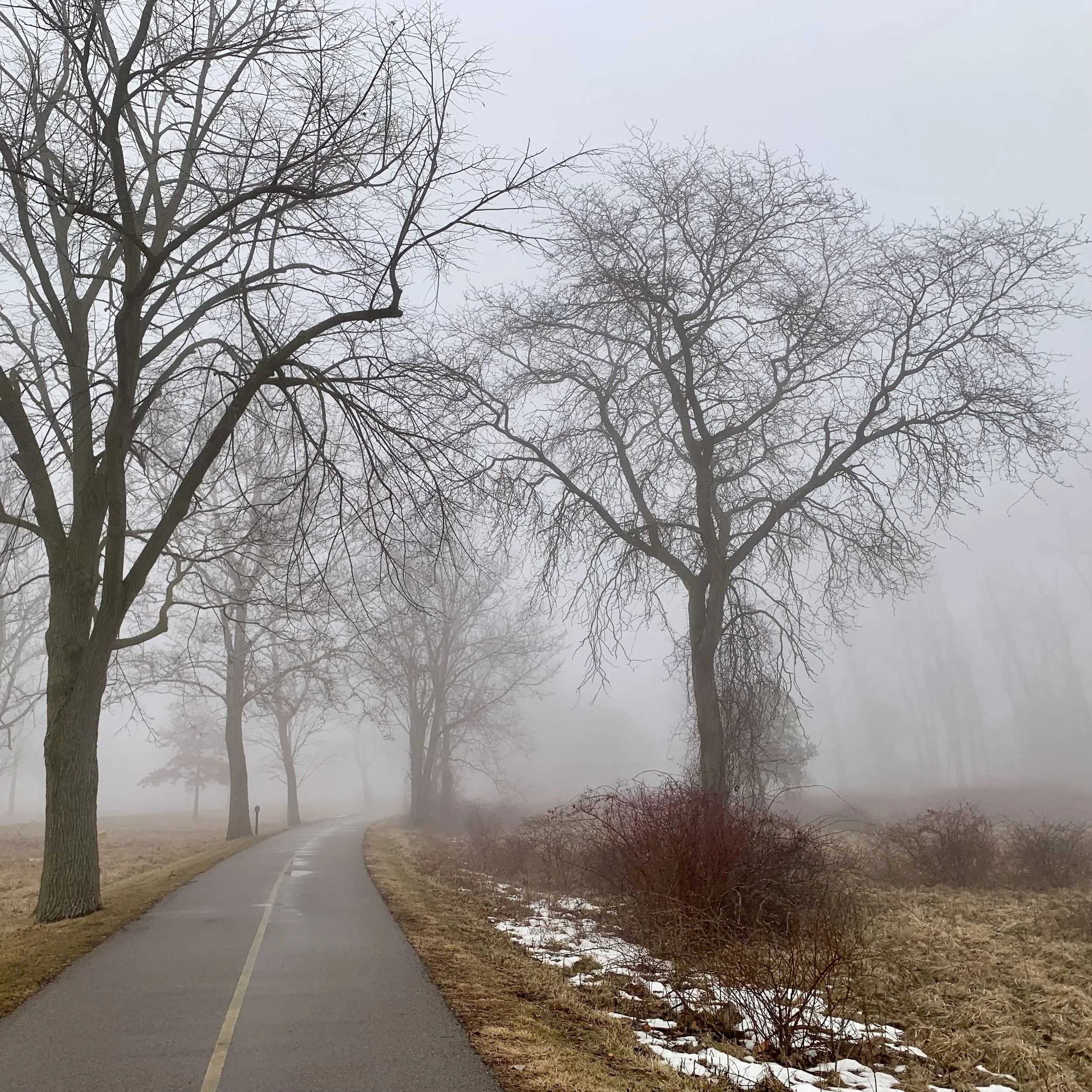 Path through the Fog