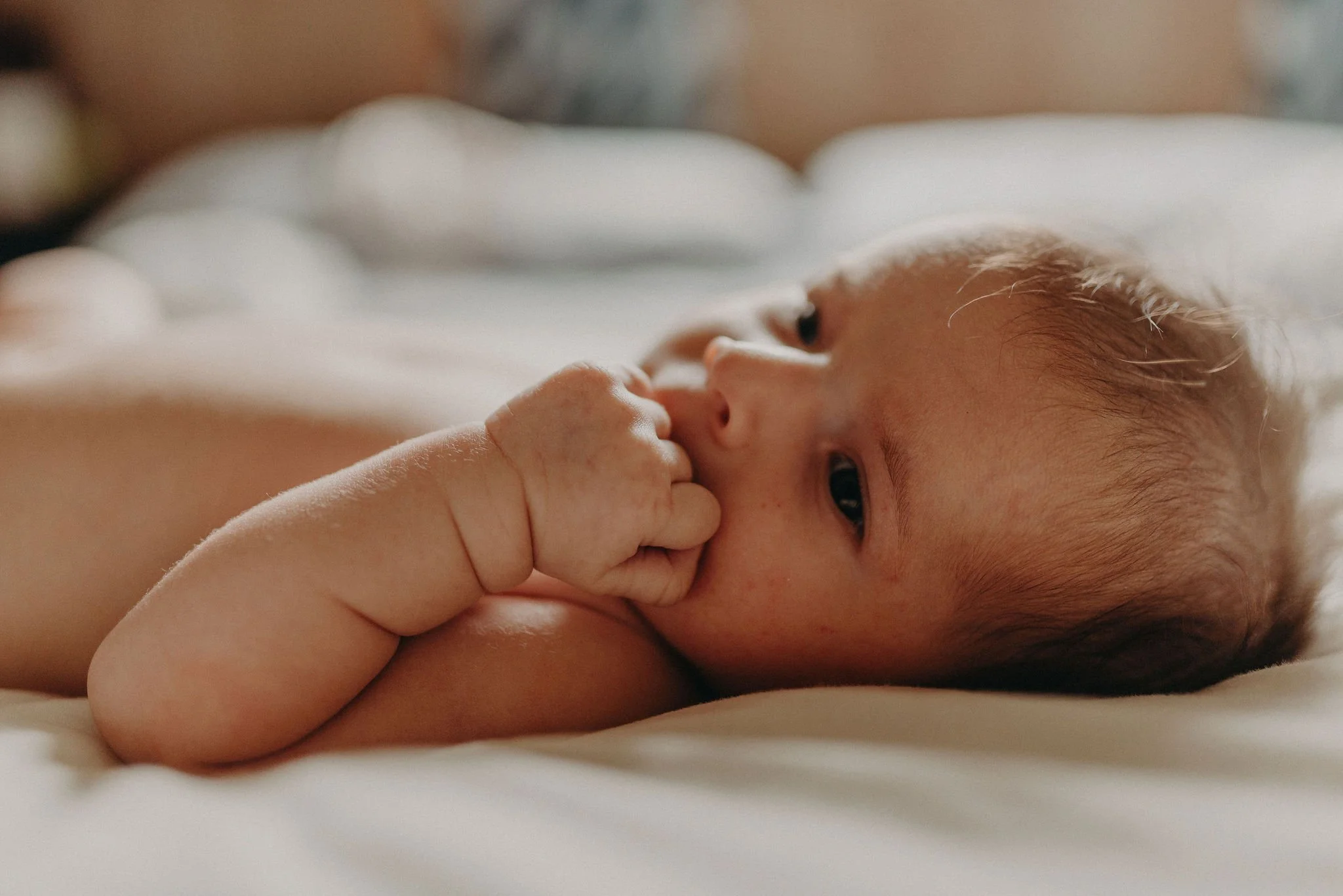 A newborn baby laying on a soft surface with a hand near the mouth, wearing a curious expression.