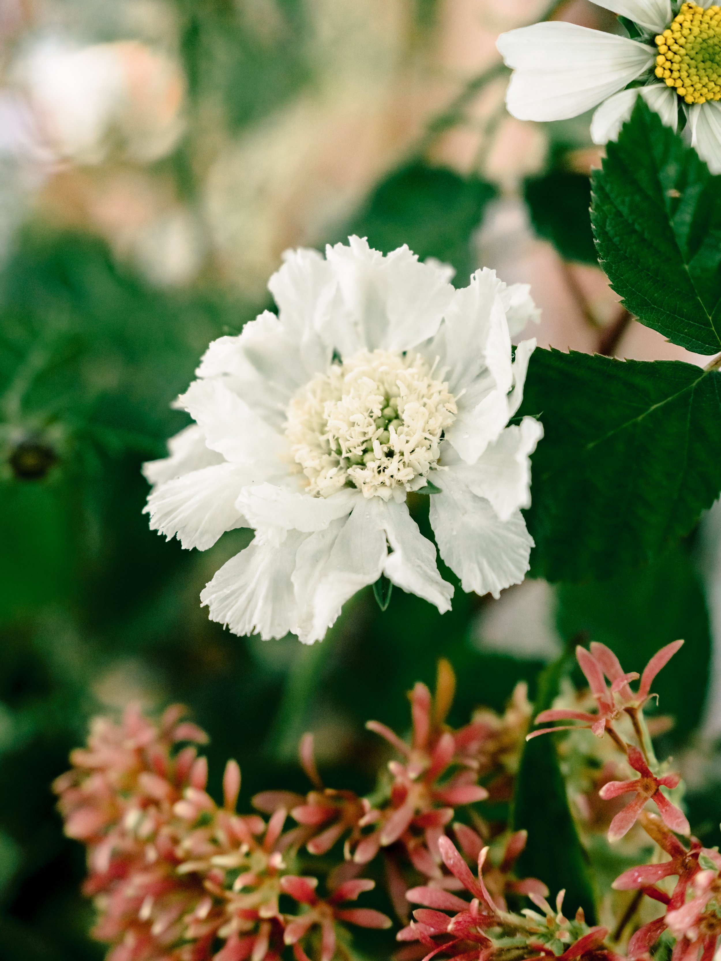 HaileeRawsonPhoto-05220.jpg