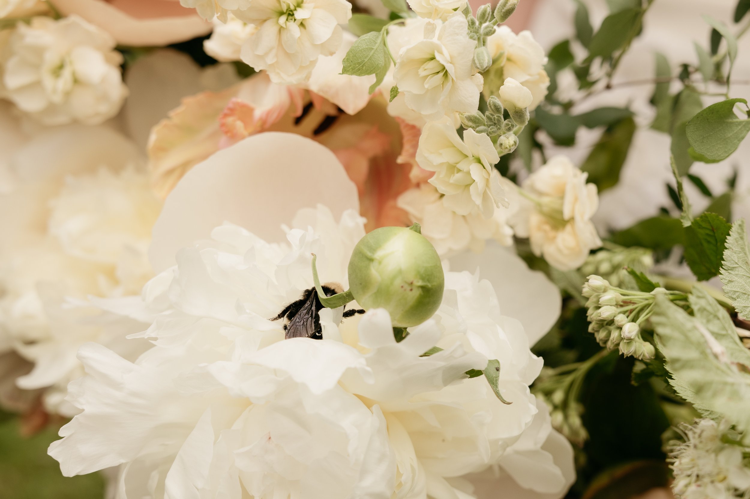 lebenbridalparty-59.jpg