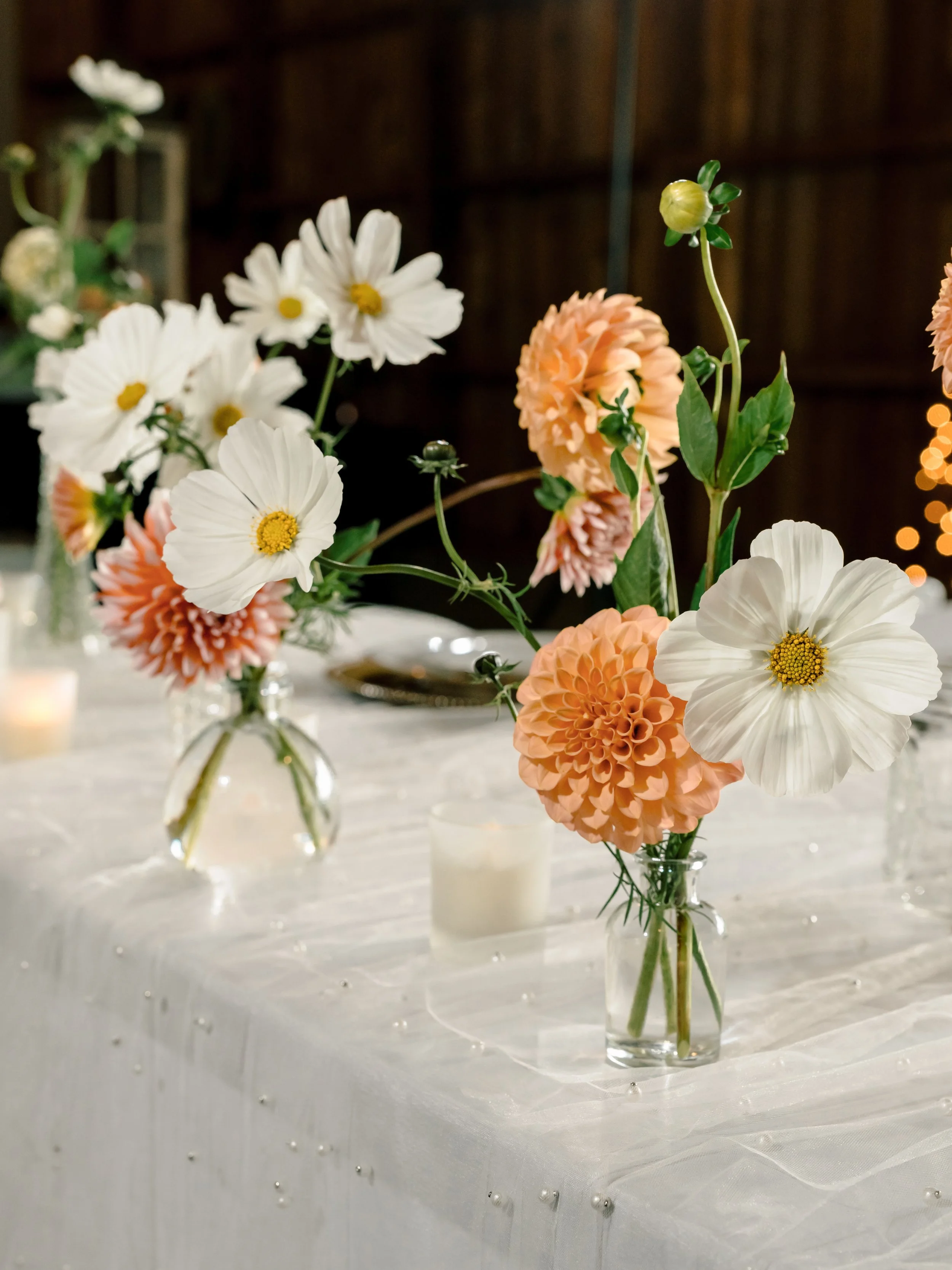HaileeRawsonPhoto-05307.jpg