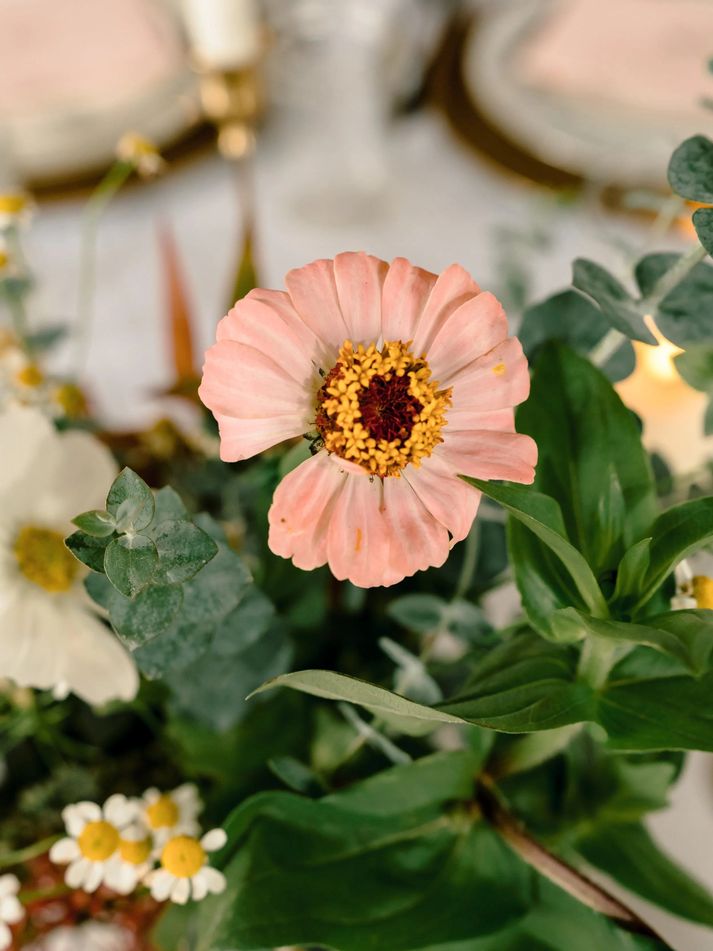 HaileeRawsonPhoto-05258.jpg