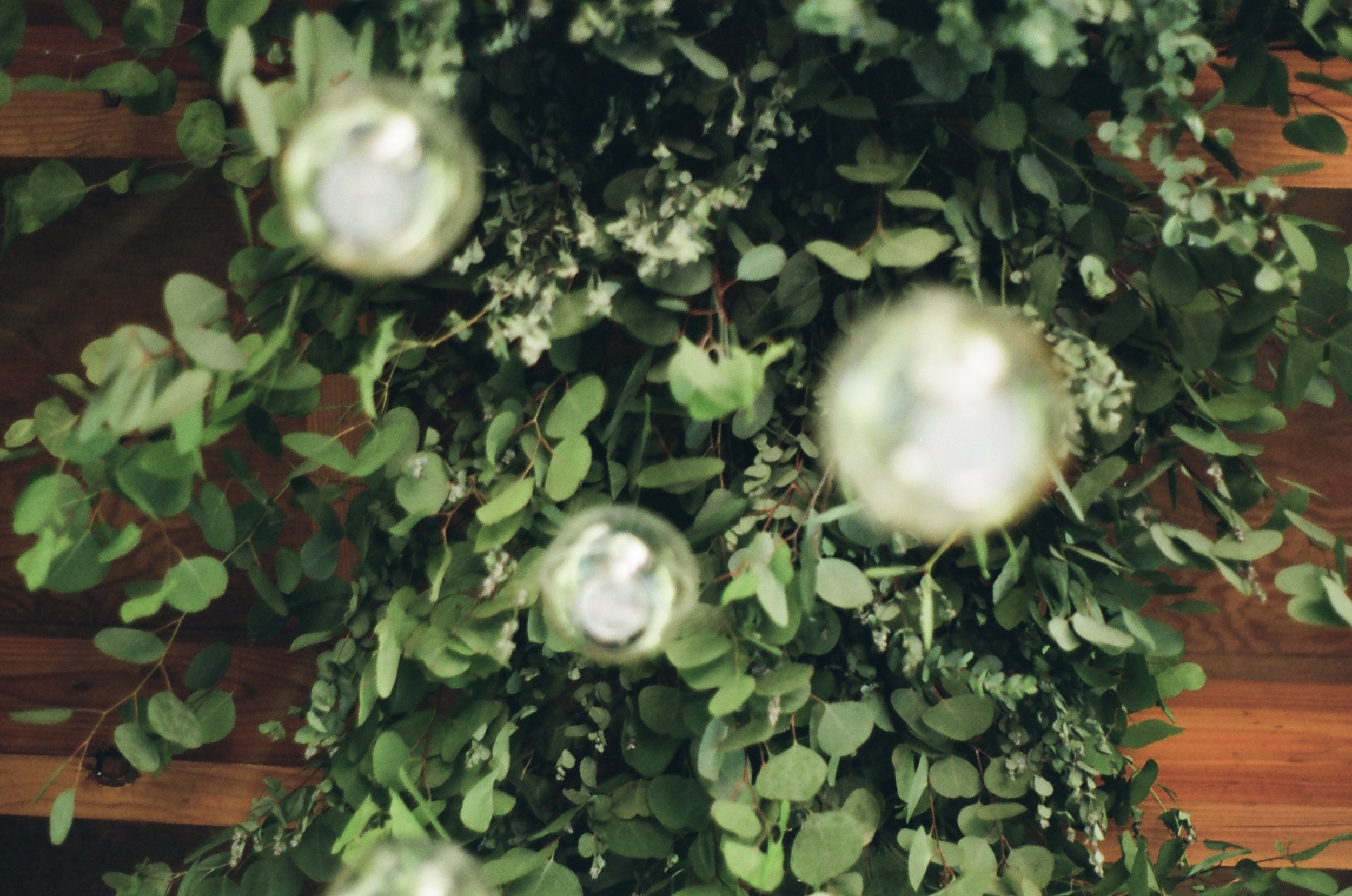 It's Raining Green