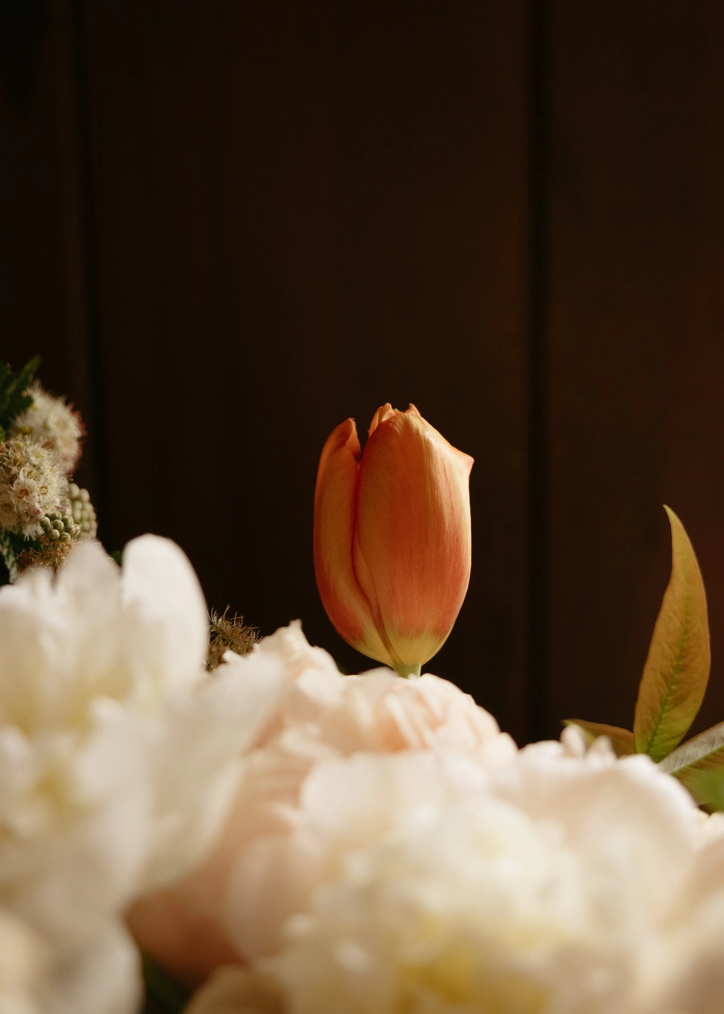 lebendetails-09.jpg
