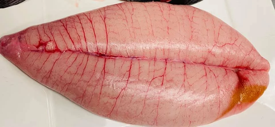 Before the Salt Brine