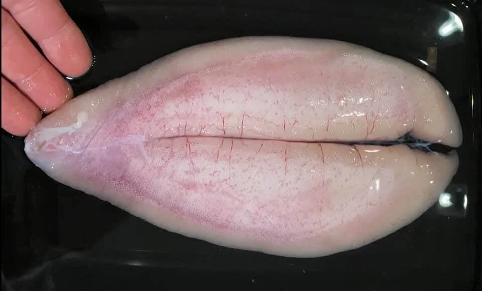 After the Salt Brine