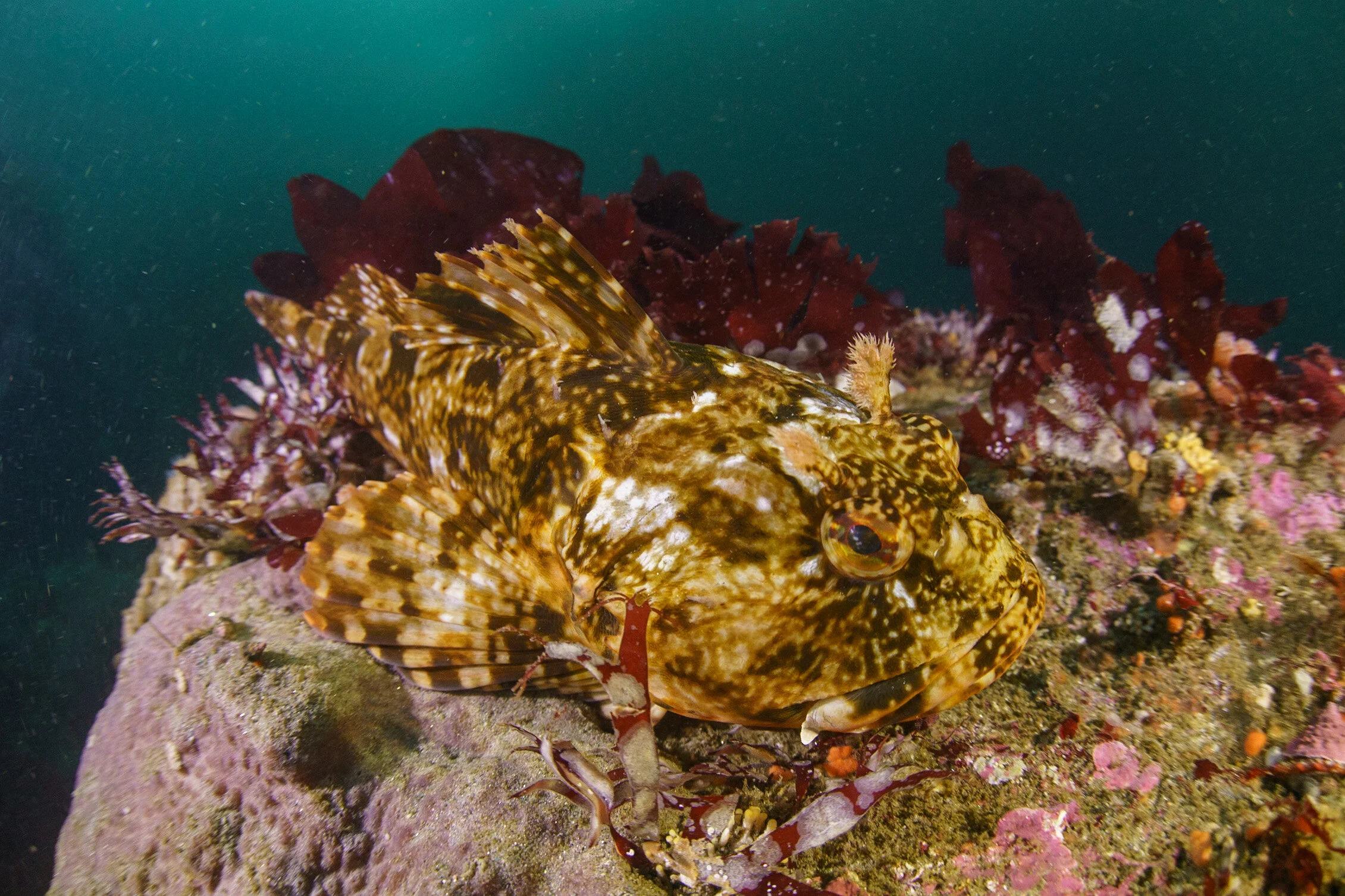 Photo Aug 10, 8 03 41 PM.jpg