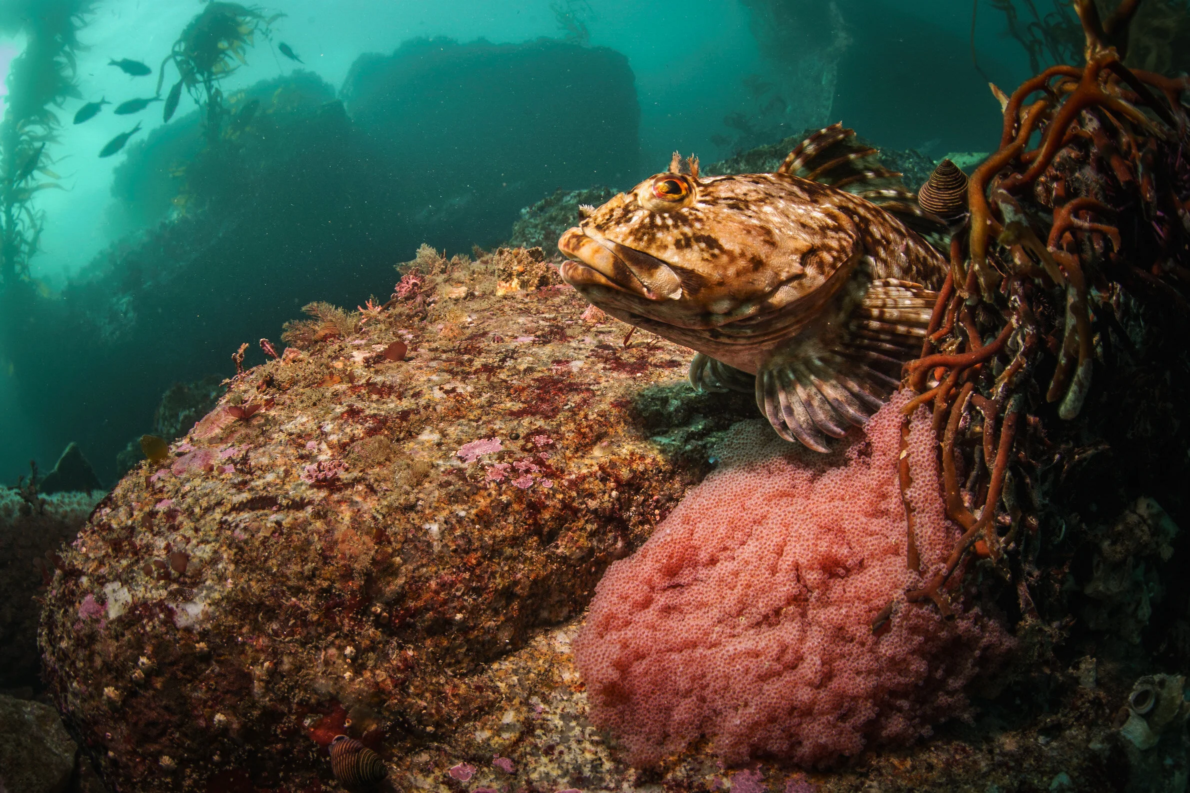 Photo Jan 29, 12 38 58 PM.jpg