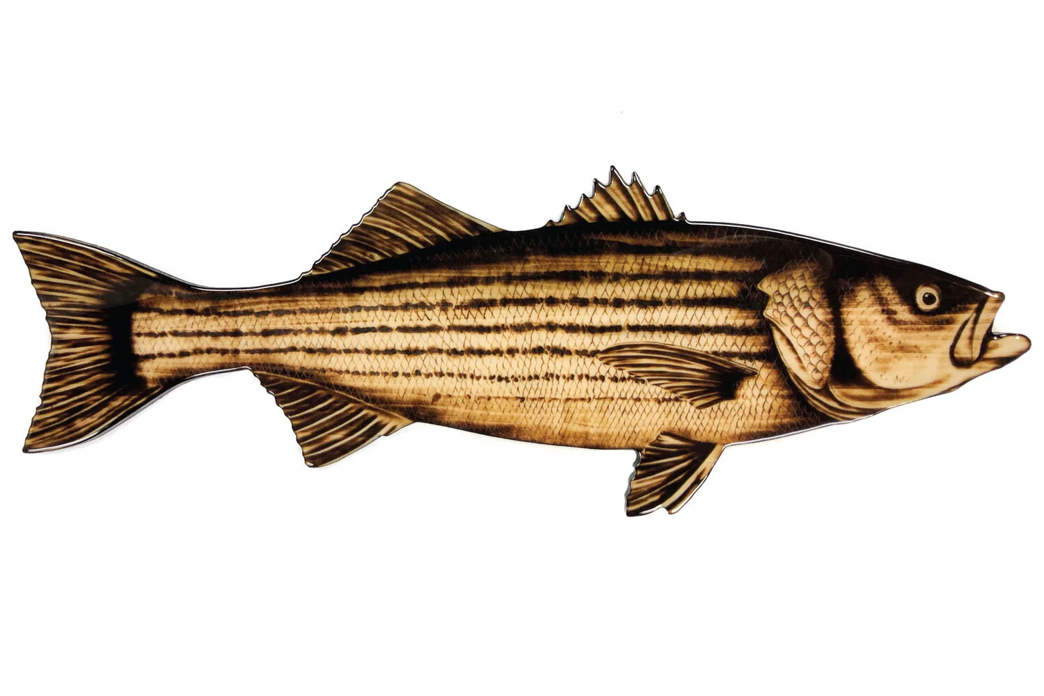 striped-bass-WEB.jpg