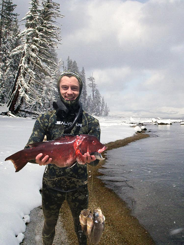 Hiding your background when snapping the photo isn’t always a possibility, so sometimes we improvise!