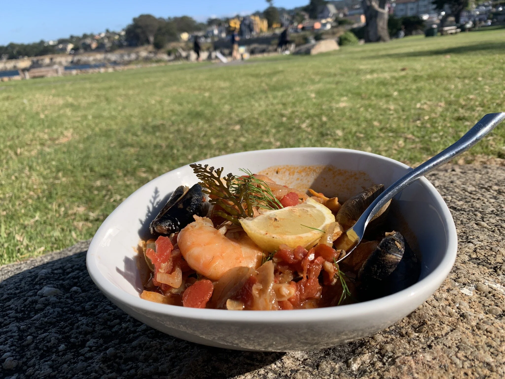 Coastal Foraged Ciopinno