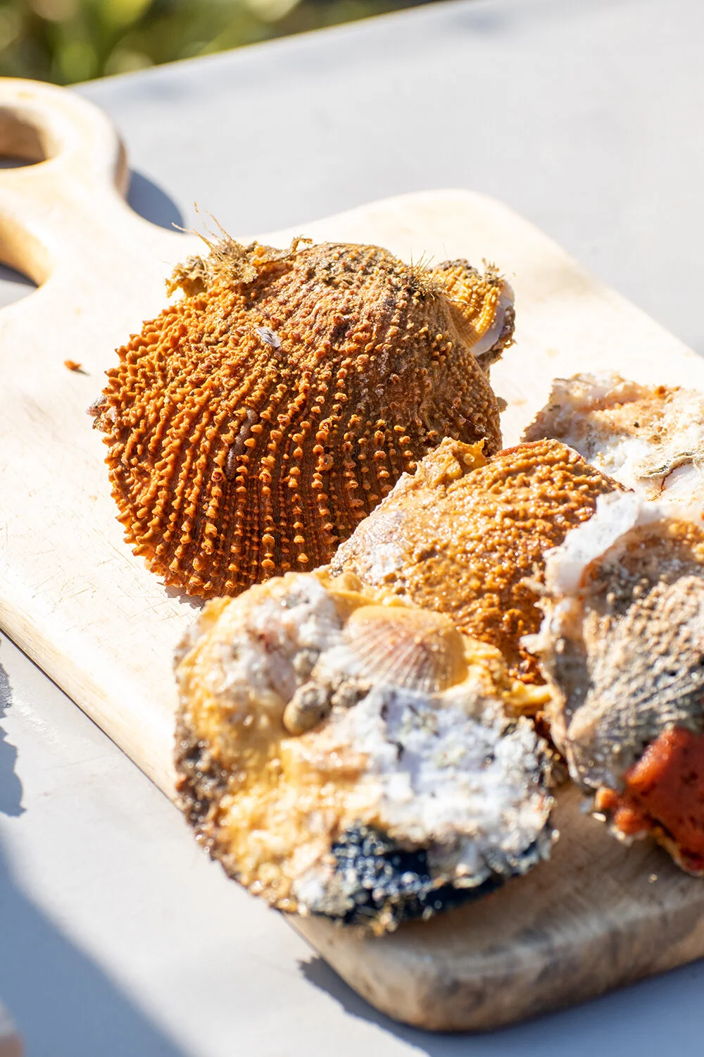 Fish Curry and Rock Scallops