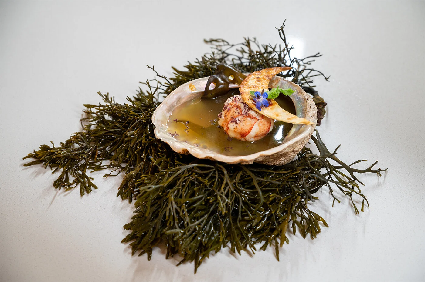 Lobster and Miso Soup