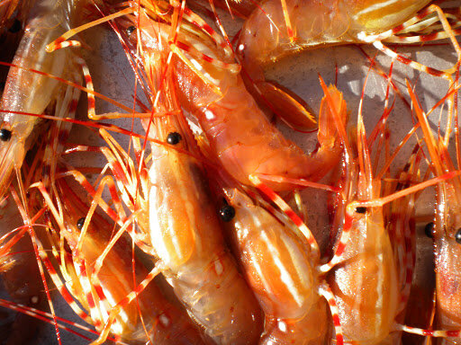 Image from: http://politicsoftheplate.com/