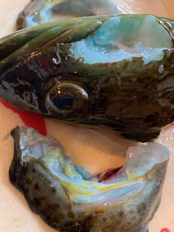 Ling Cheek Harvest.jpg