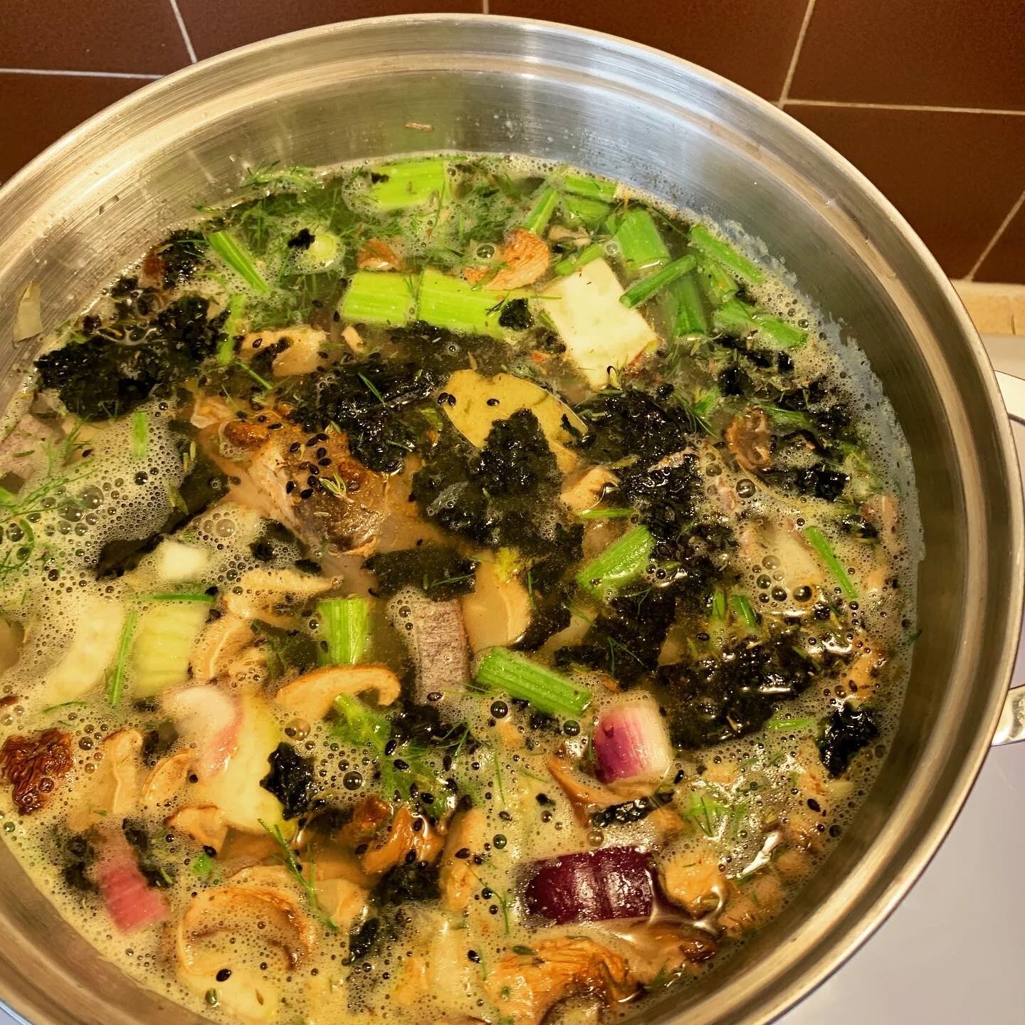 Strong Fish Stock