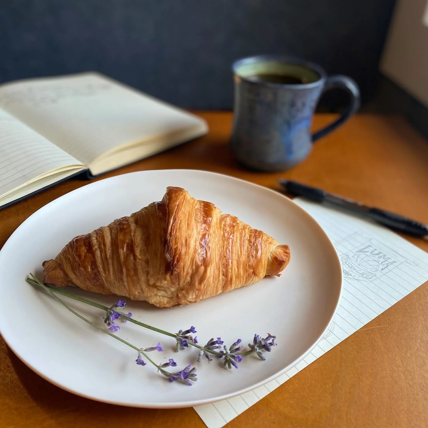 I&rsquo;m super excited to be pitching in the @startgarden 5x5 next week! If I win the funding I can take a huge step toward making a Luma a reality, and either way I know the judges will have lots of great feedback. It&rsquo;s intimidating putting a