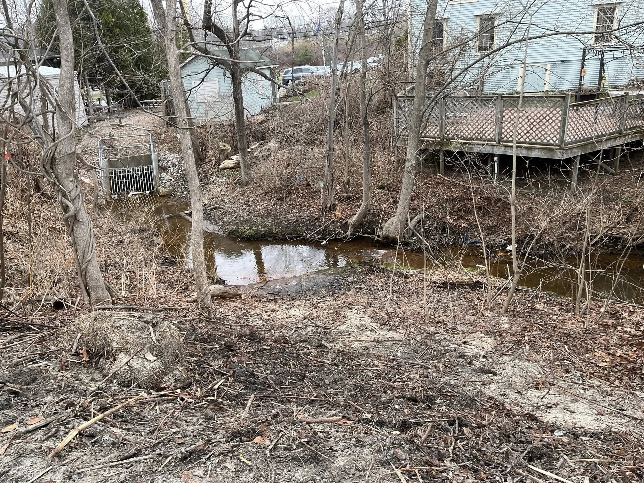 A Cleaner Woods, A Cleaner Maine Jordan Junk Removals Mission&nbsp;