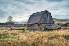 Montana Cattlemen's AssociationPress Release Family Grocery and Farmer Relief Act