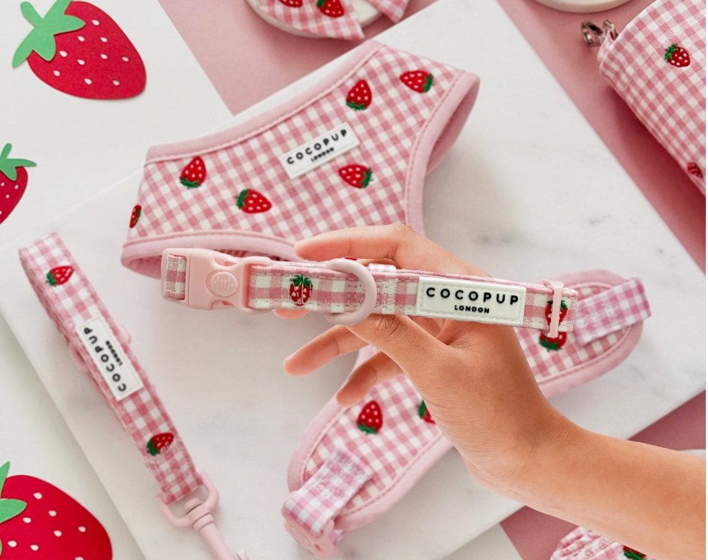 Strawberry Picnic Pup Collar