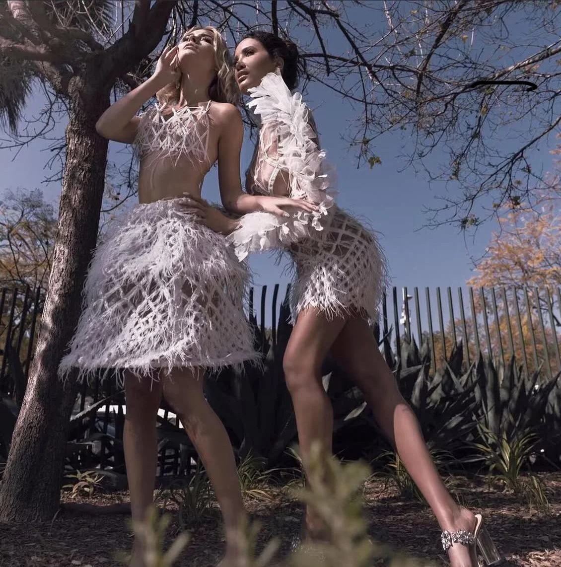 Social Media Design: Gela Wesh