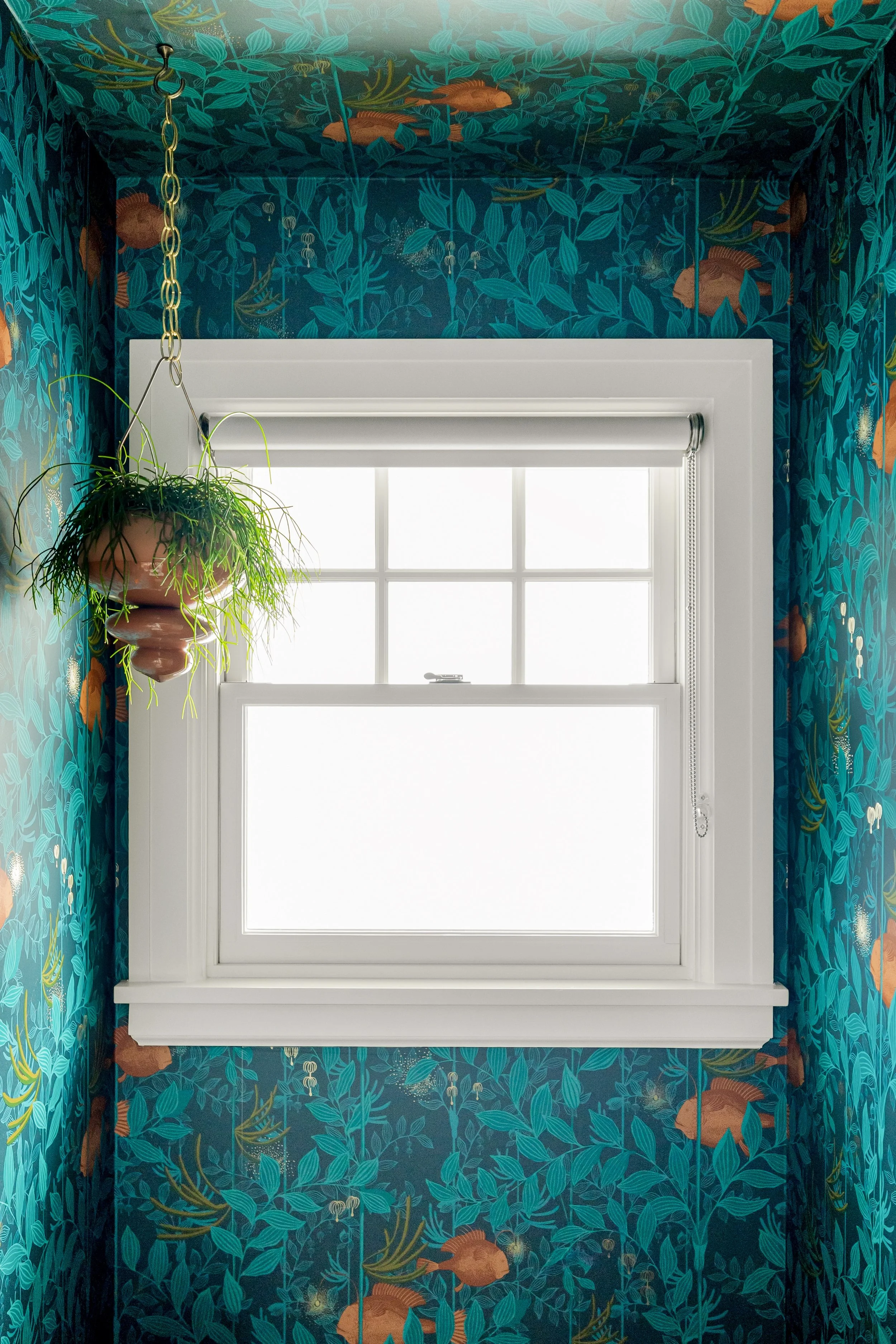 Full powder room reveal with teal Cole and Son Nautilus wallpaper on walls and ceiling by Design With Refinement Portland