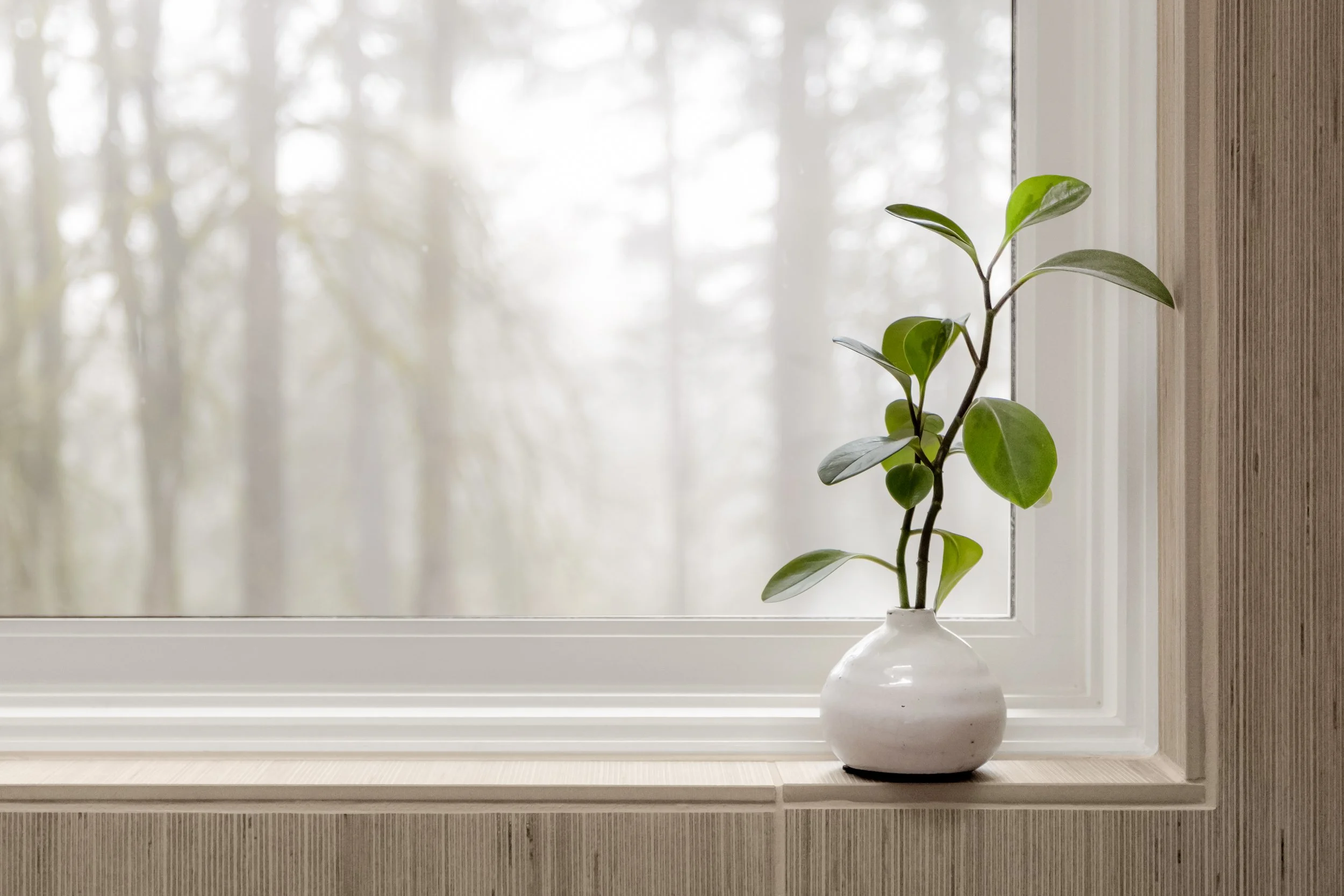 Design With Refinement_Fairmount Project 33.jpg