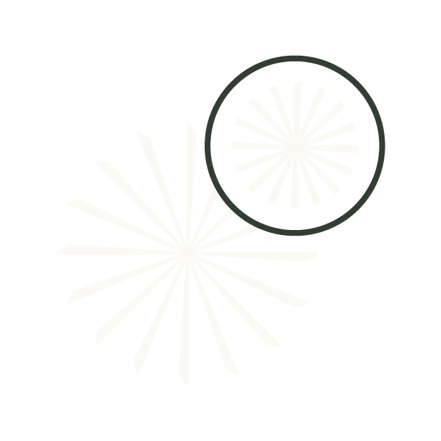 Radiating graphic with a circular mark, symbolizing independence, advocacy, and client-centered alignment in every real estate decision.