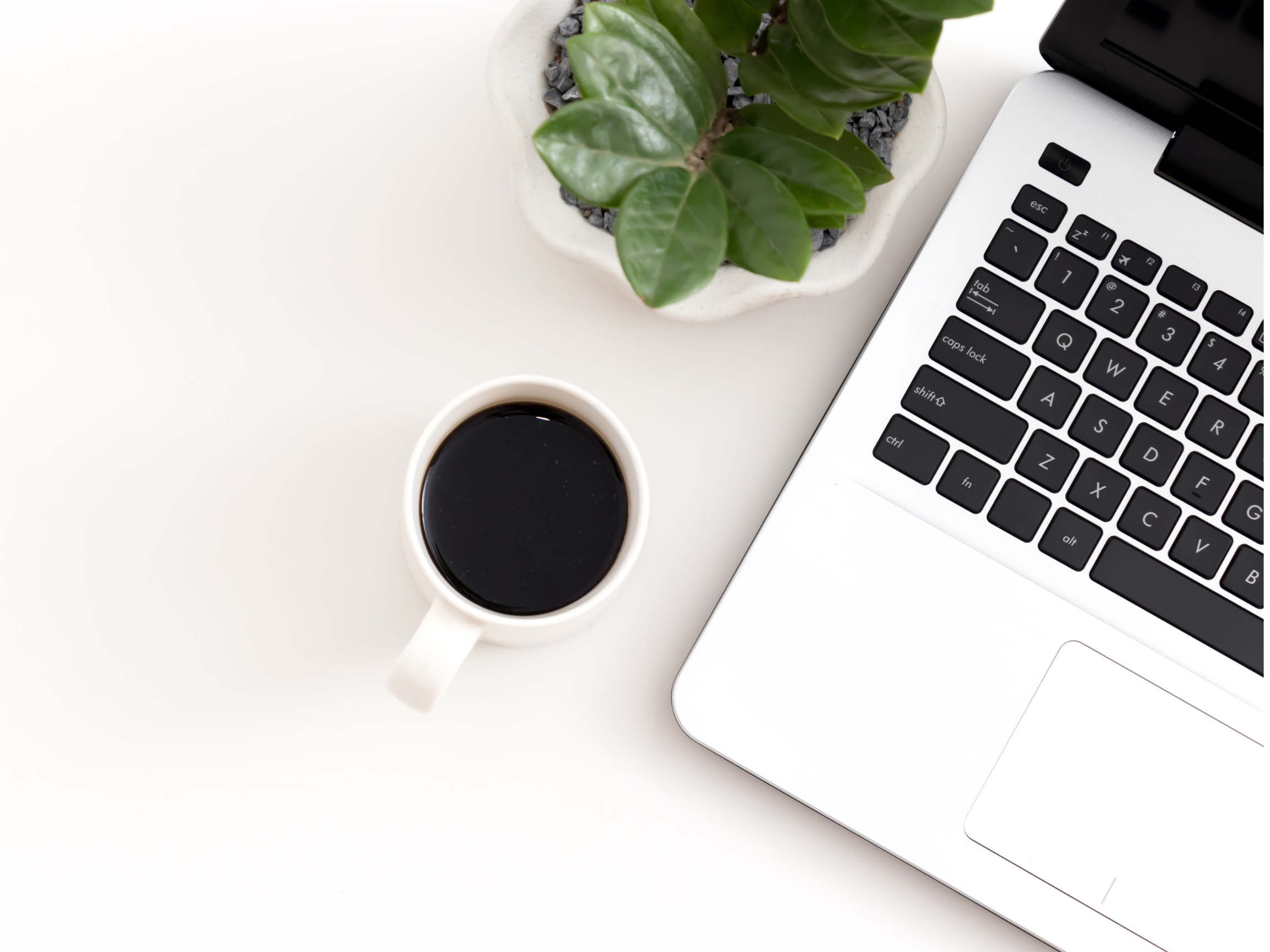 A computer showing ketamine-assisted psychotherapy resources.