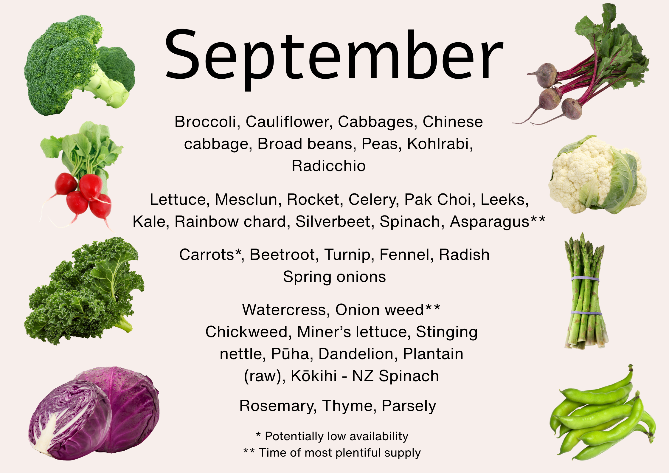 Seasonal produce available in September NZ