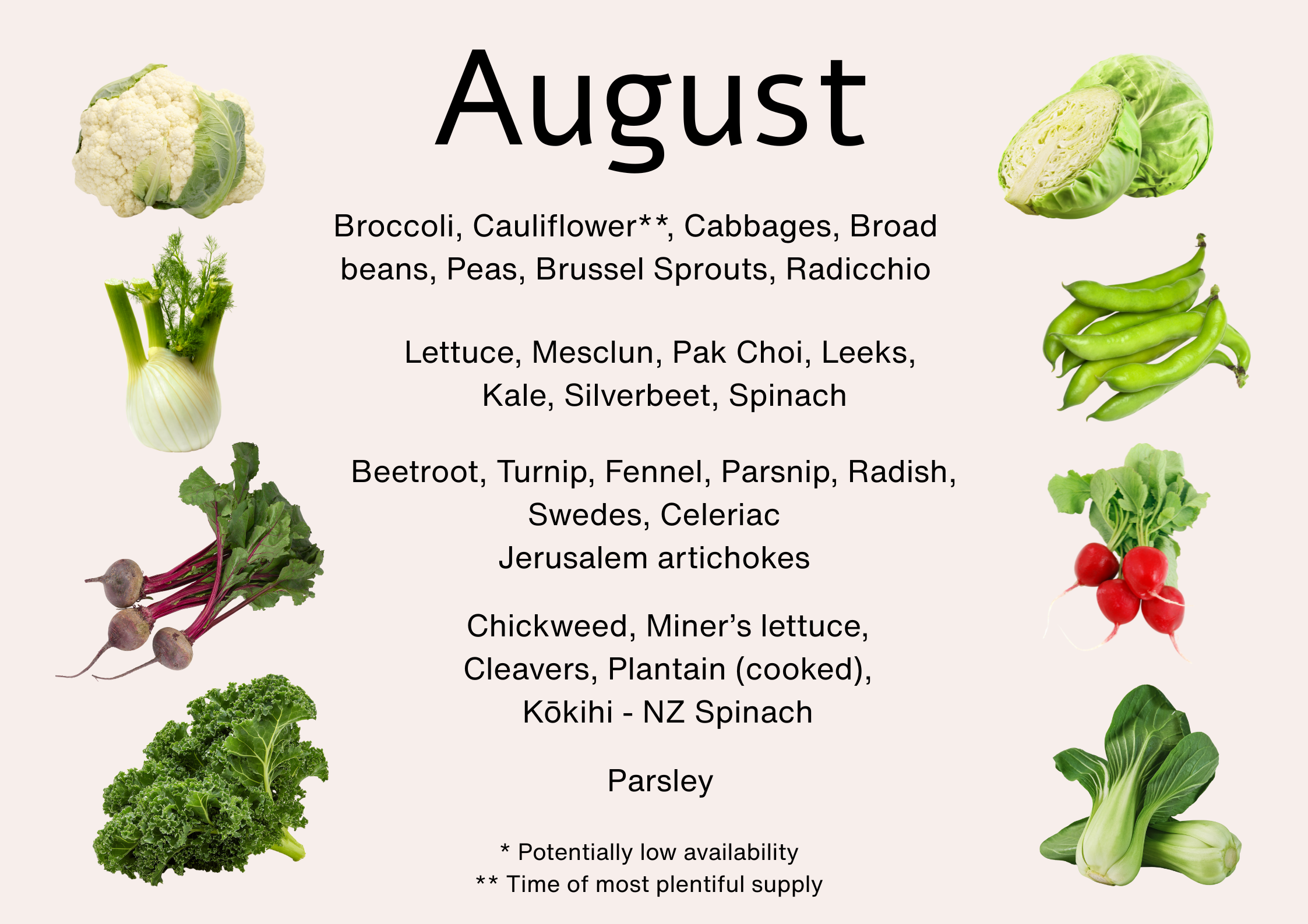 Seasonal produce available in August NZ