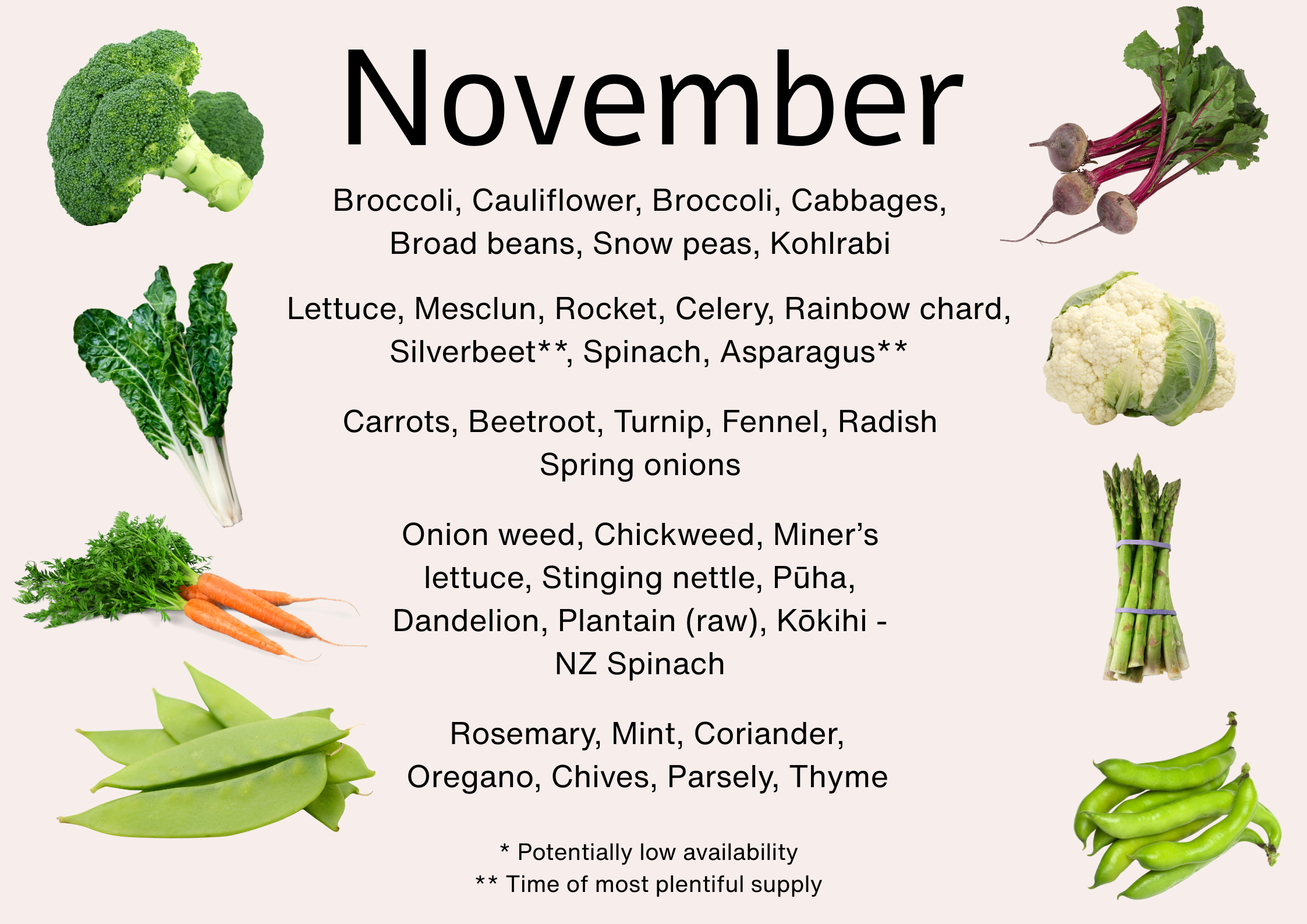 Seasonal produce available in November NZ