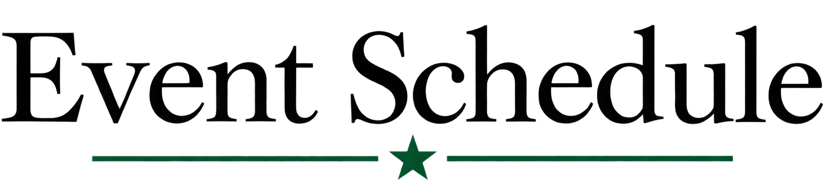 The logo of American Eagle Outfitters, a black text reading "American Eagle" with a green star underneath and a green underline.