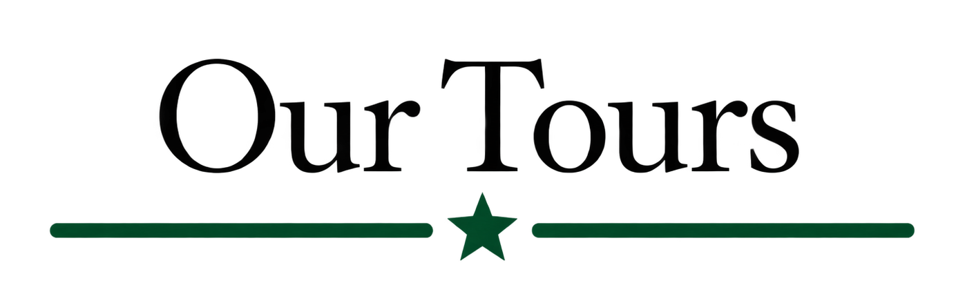 The logo for the company 'Coloro' featuring black text with a green star between the words 'Color' and 'o'.