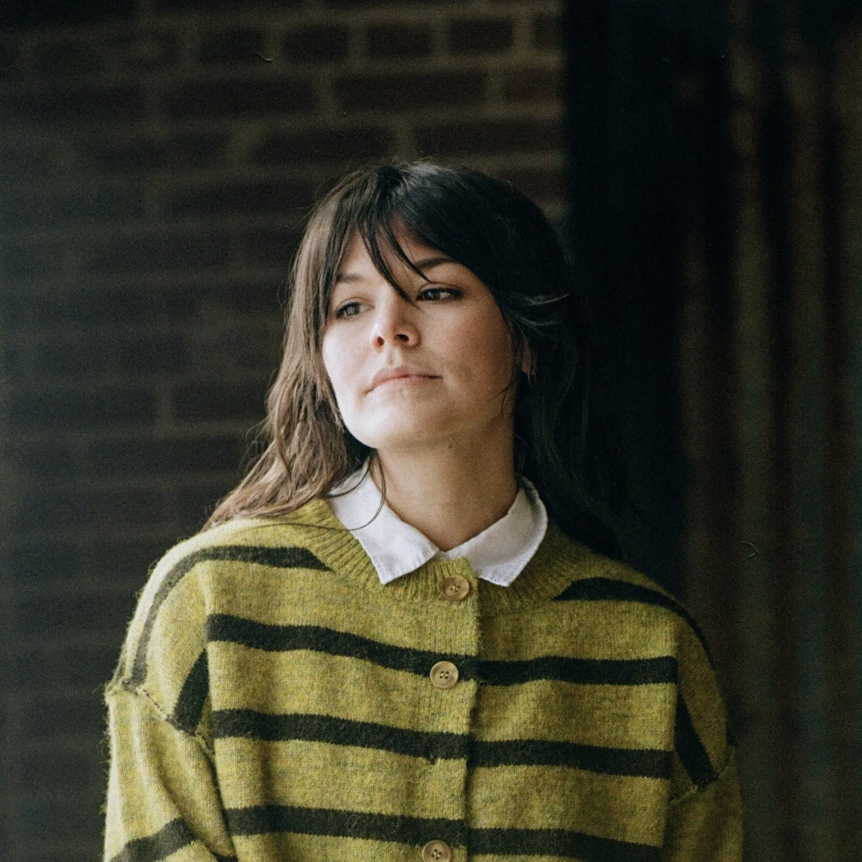 Brother Bird Shares New Single “Chameleon” Ahead of Andy Hull Tour
