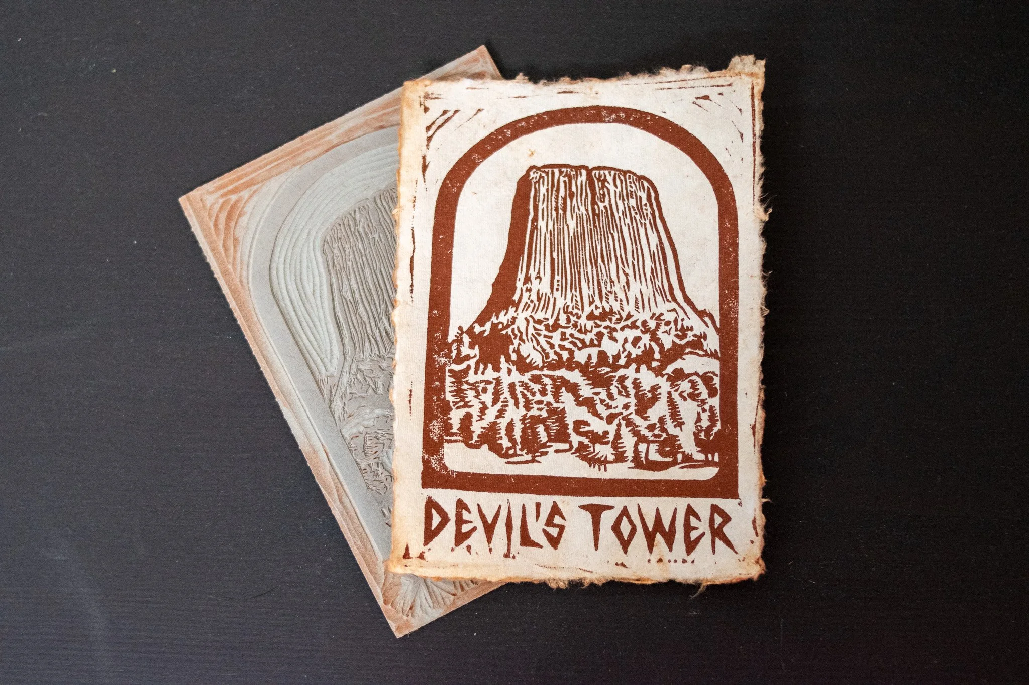 Polygons of Devils Tower  Print