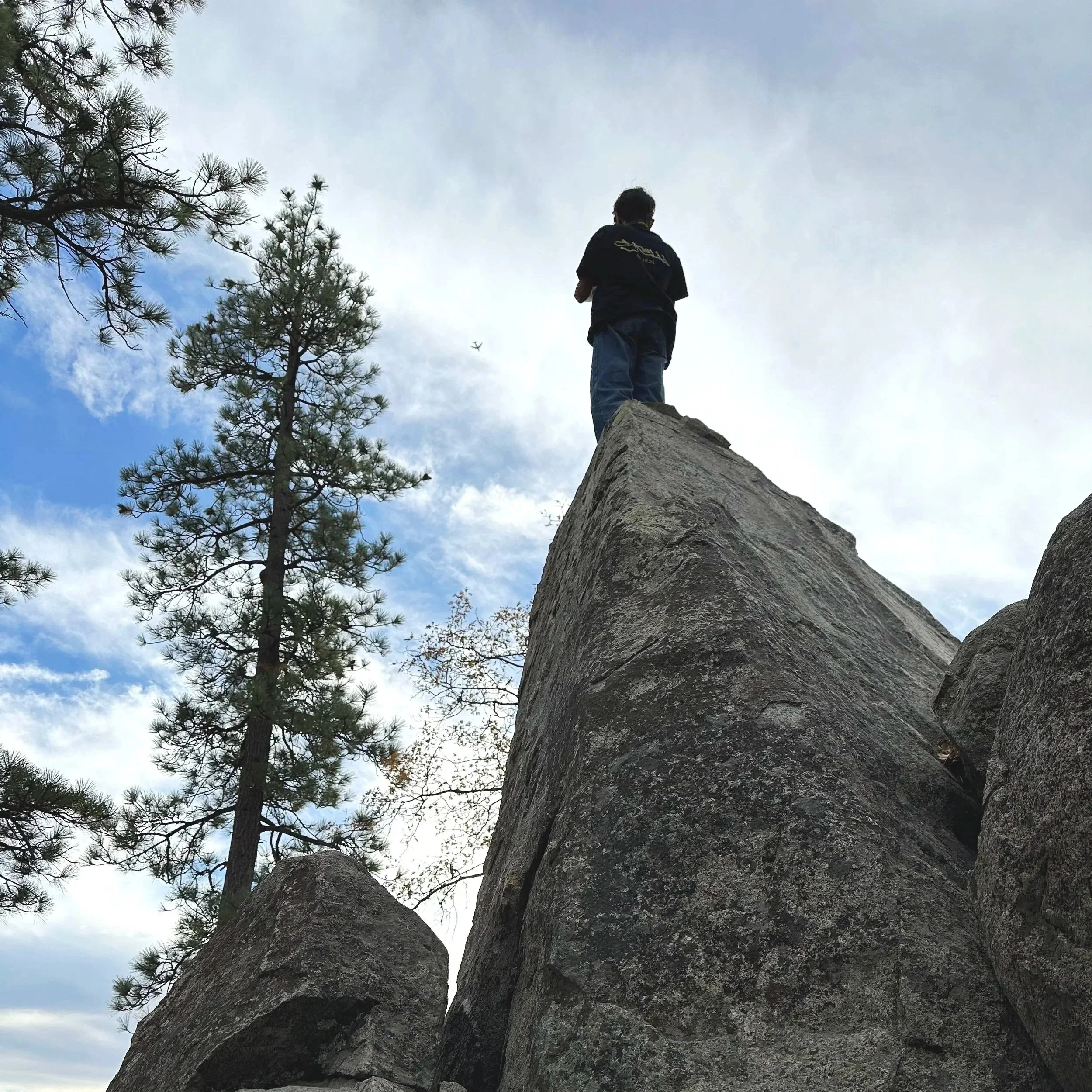 A person standing on top of a large, tall rock formation outdoors, with tall pine trees and a cloudy sky in the background.
