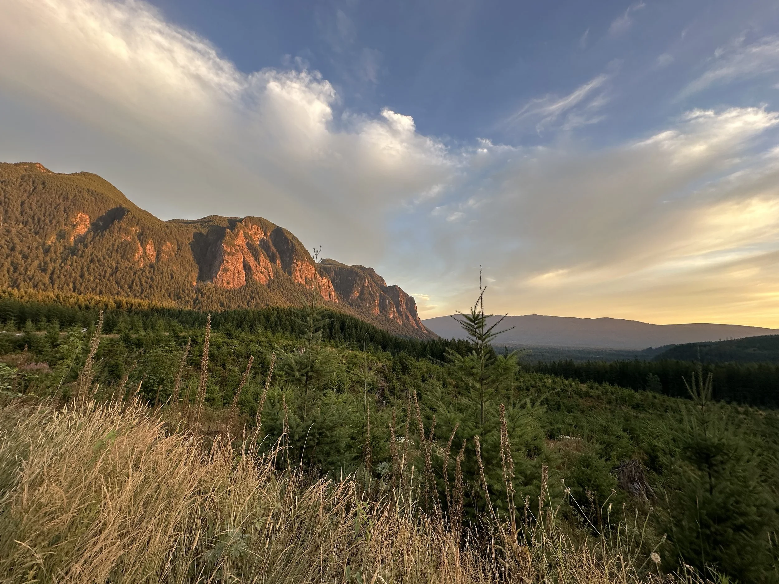 A scenic landscape of green forests and tall grasses with a mountain range in the background under a partly cloudy sky during sunset.