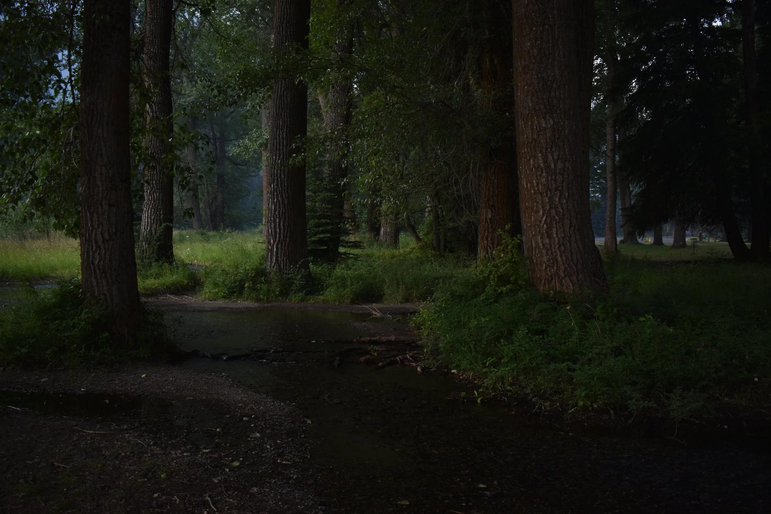 ice creek.JPG