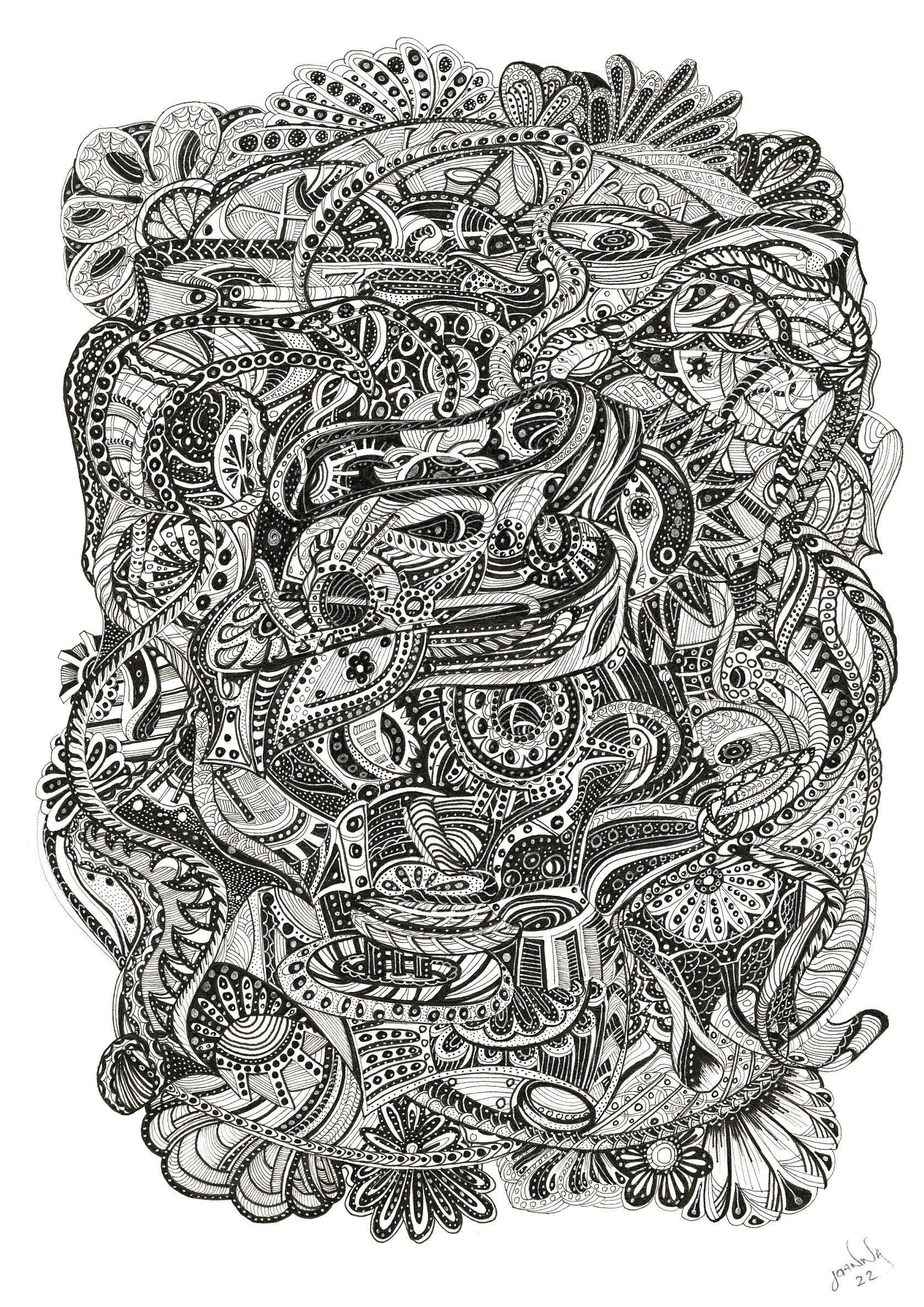 Organised Chaos (black pen & ink)