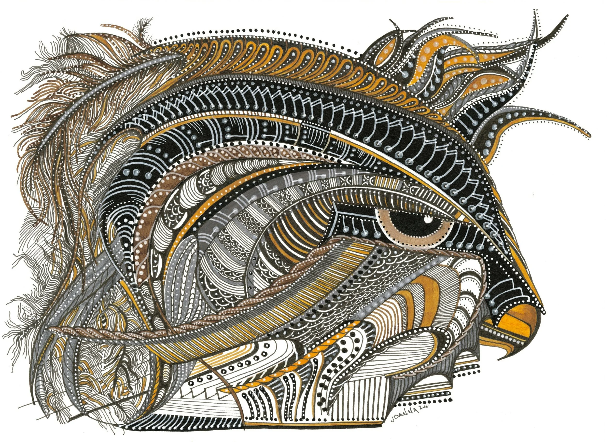 Hooded Falcon (colour pen & ink)